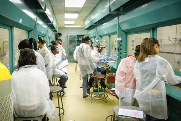 Students in chemistry lab