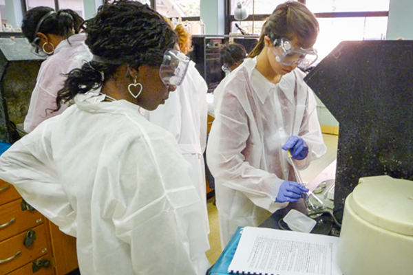 Students in chemistry lab