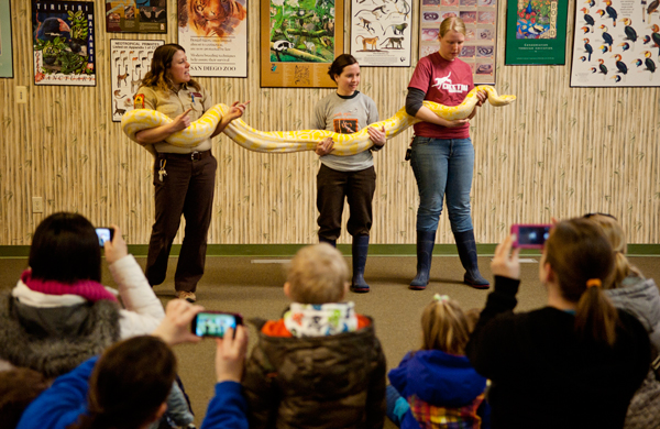 The Knee High Naturalists are introduced to an albino python at Binder Park Zoo. 