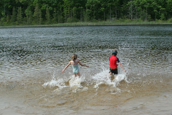 Lake Pickerel