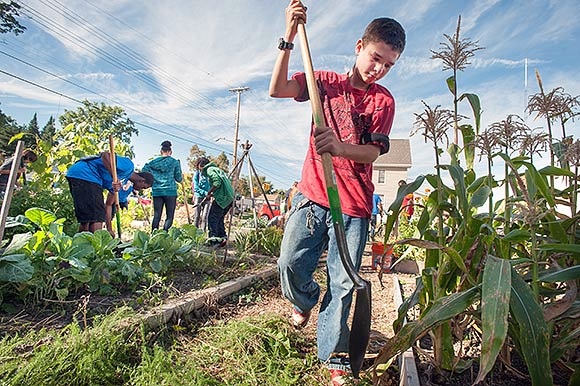 Youth Service Corps